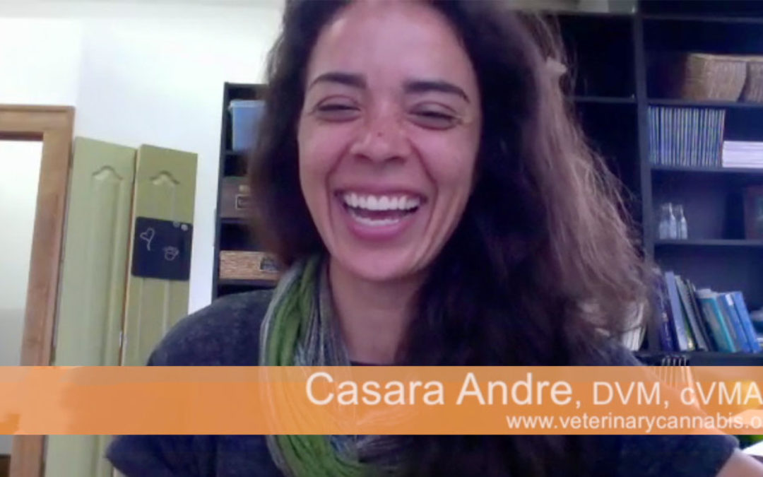 CBD Oil for Pets:  A 2018 update with Dr. Casara Andre